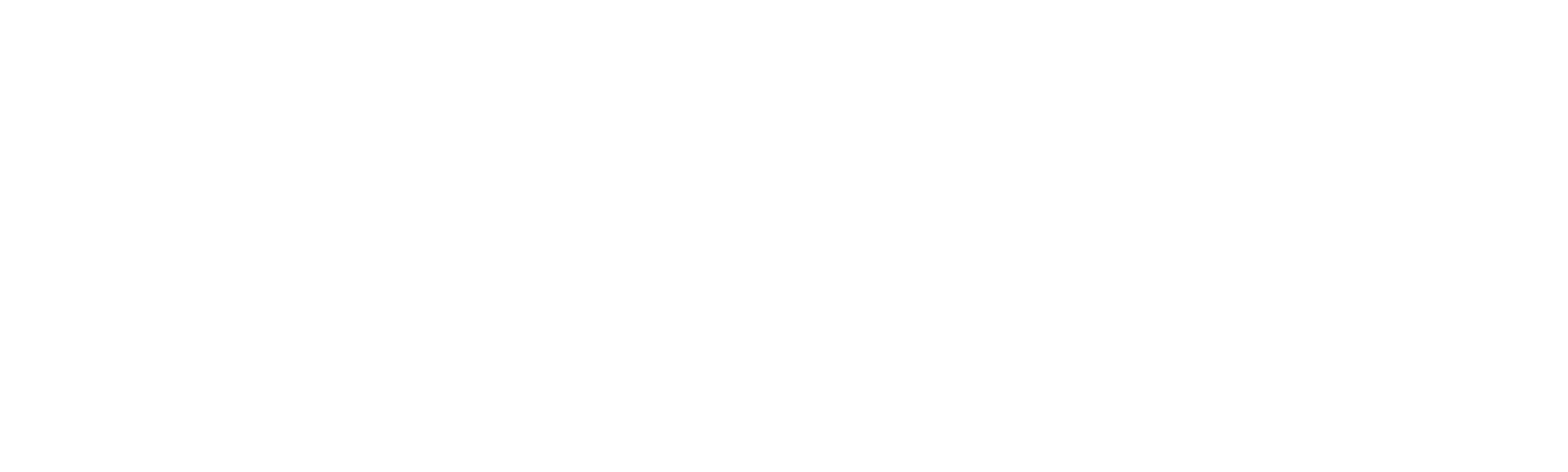 Investigadoras encubiertas