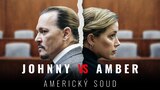 Johnny vs. Amber: Americký soud