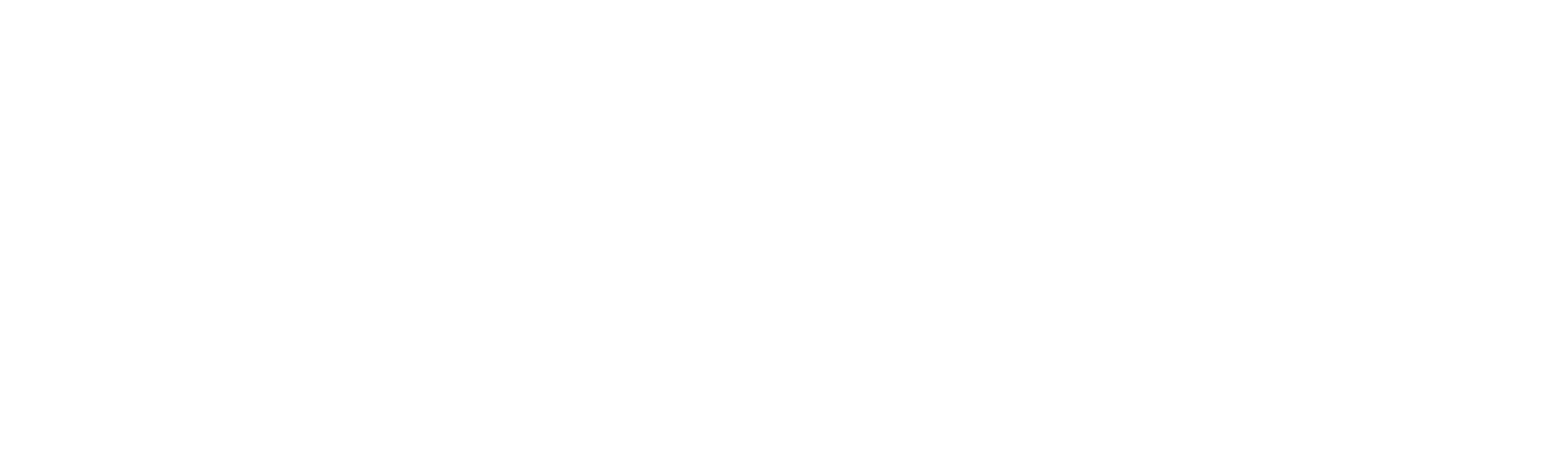 Iron Jawed Angels