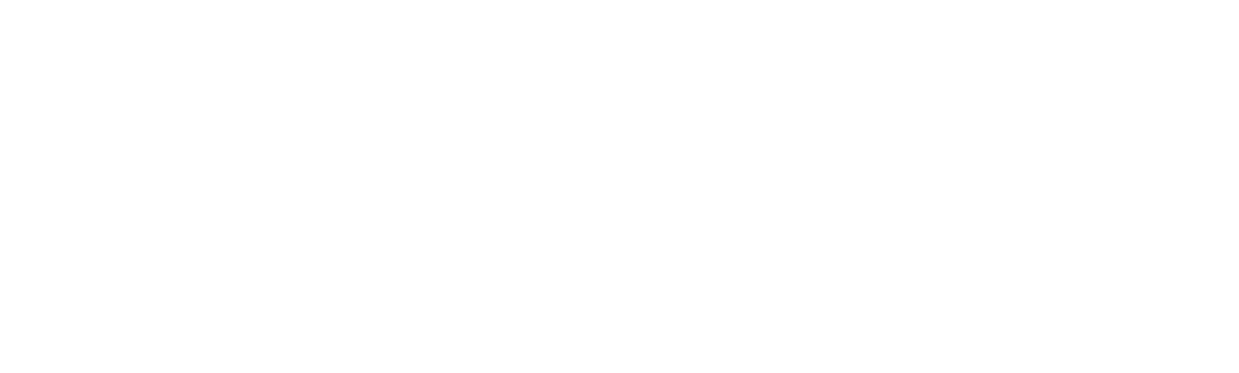 Avtobus življenja