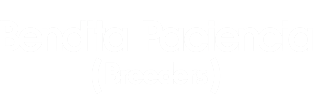 Bendita paciencia (Breeders)