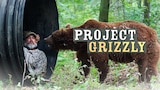 Project Grizzly
