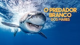 O Predador Branco dos Mares