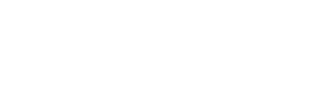 The Dark Wizard