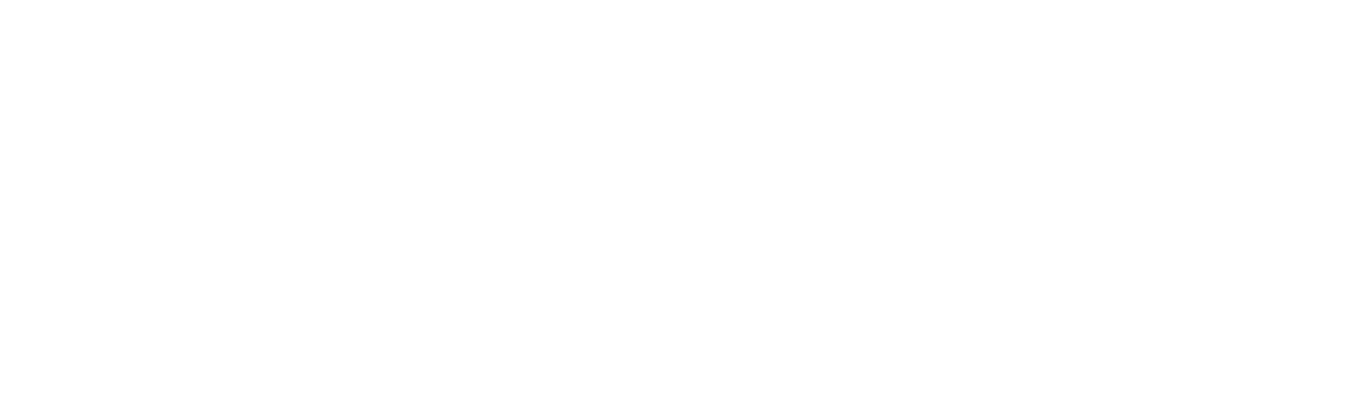 The Dark Wizard