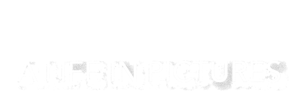 Hitler: A Life In Pictures