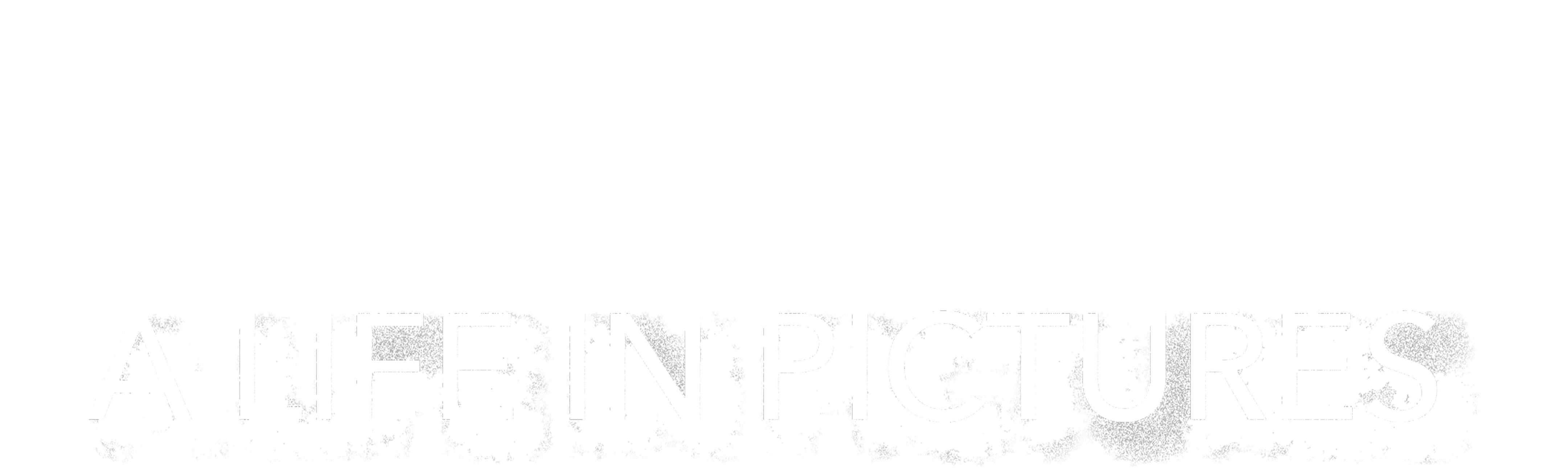 Hitler: A Life In Pictures