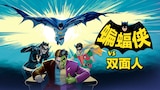 蝙蝠侠VS双面人
