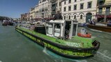 Venice Trash, Sheepskin Boots, Chlorella
