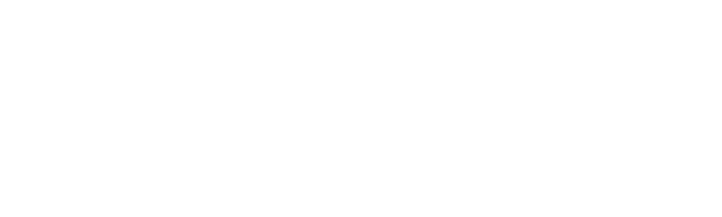 The Outsider - El Visitante