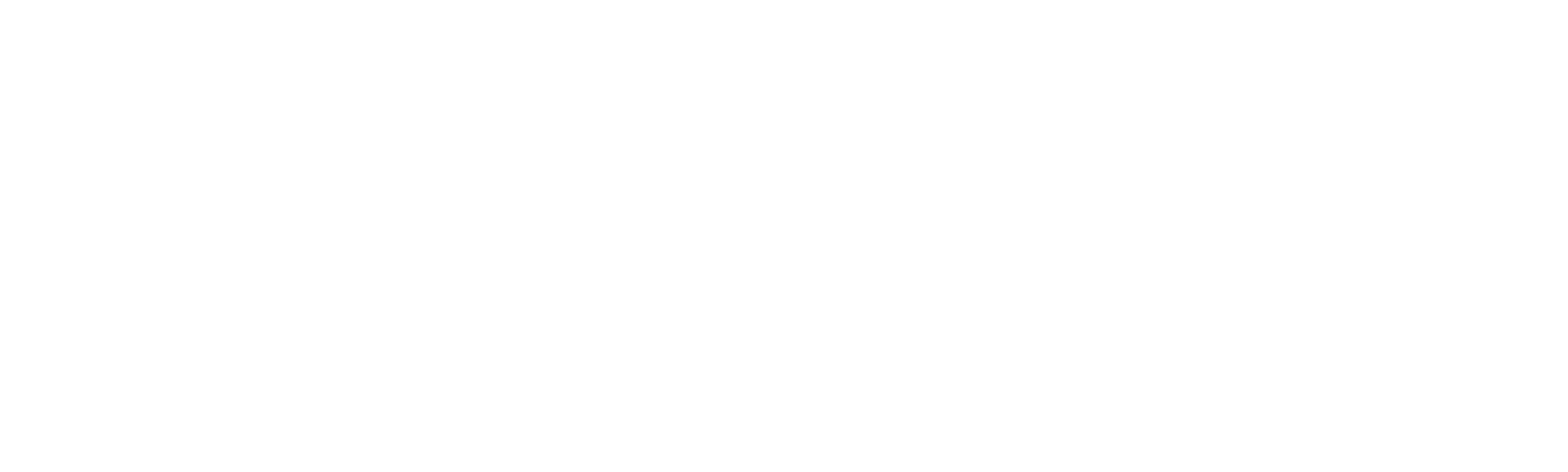 The Outsider - El Visitante