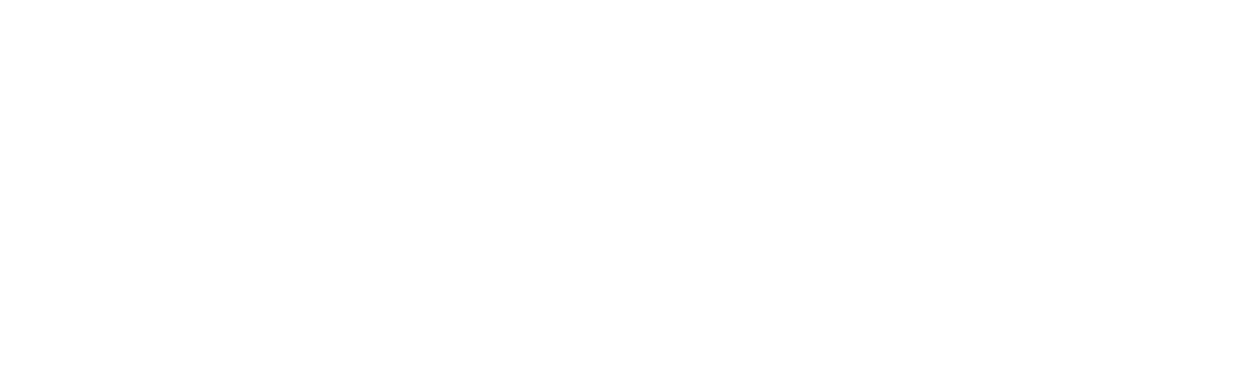 Watch Rizzoli Isles Max