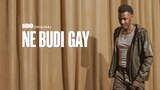 Ne budi gay