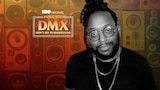 DMX: Don’t Try to Understand — The Big Picture Video Podcast