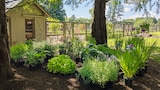 Container Gardens