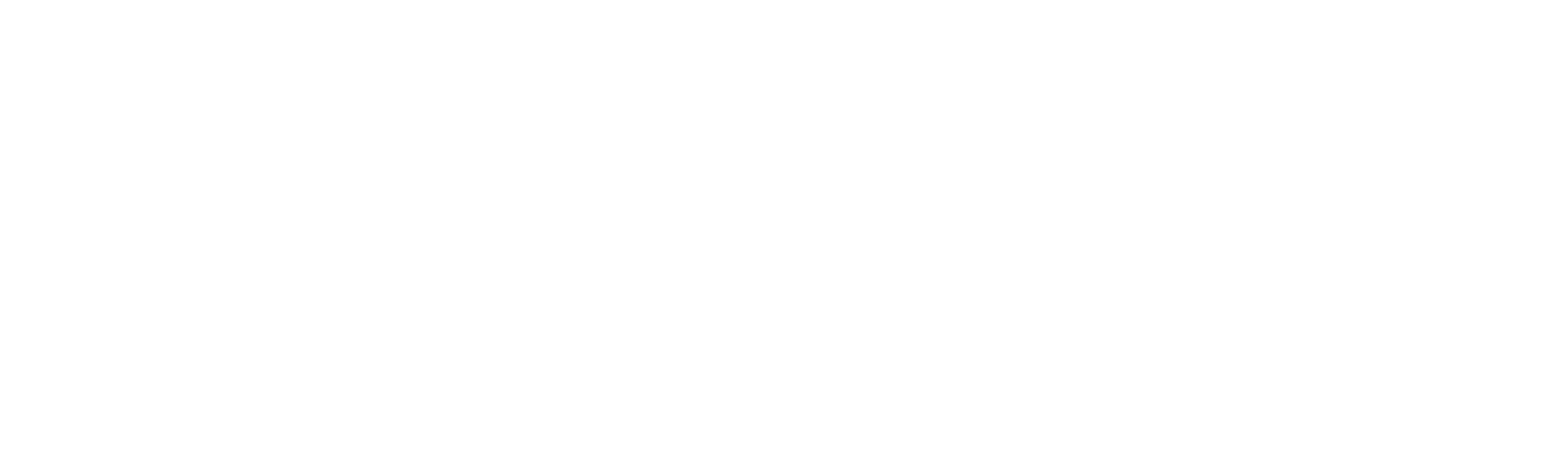 The Immigrant