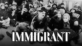 The Immigrant