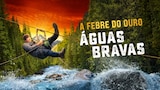 A Febre do Ouro: Águas Bravas