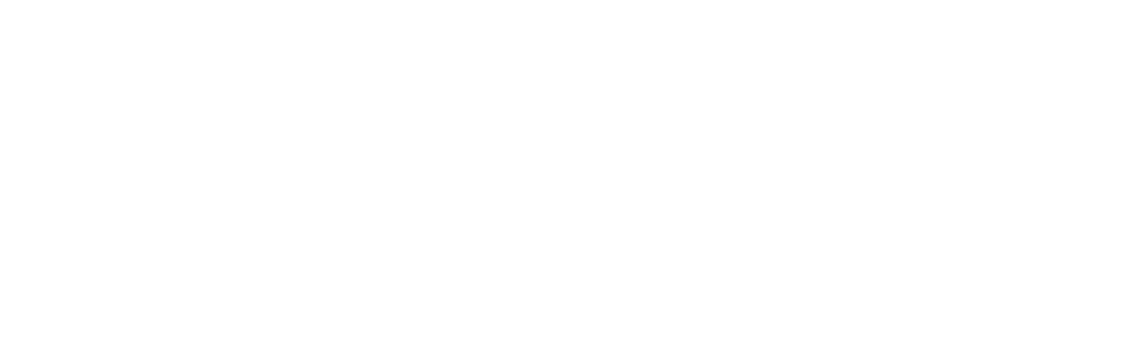 The Globe