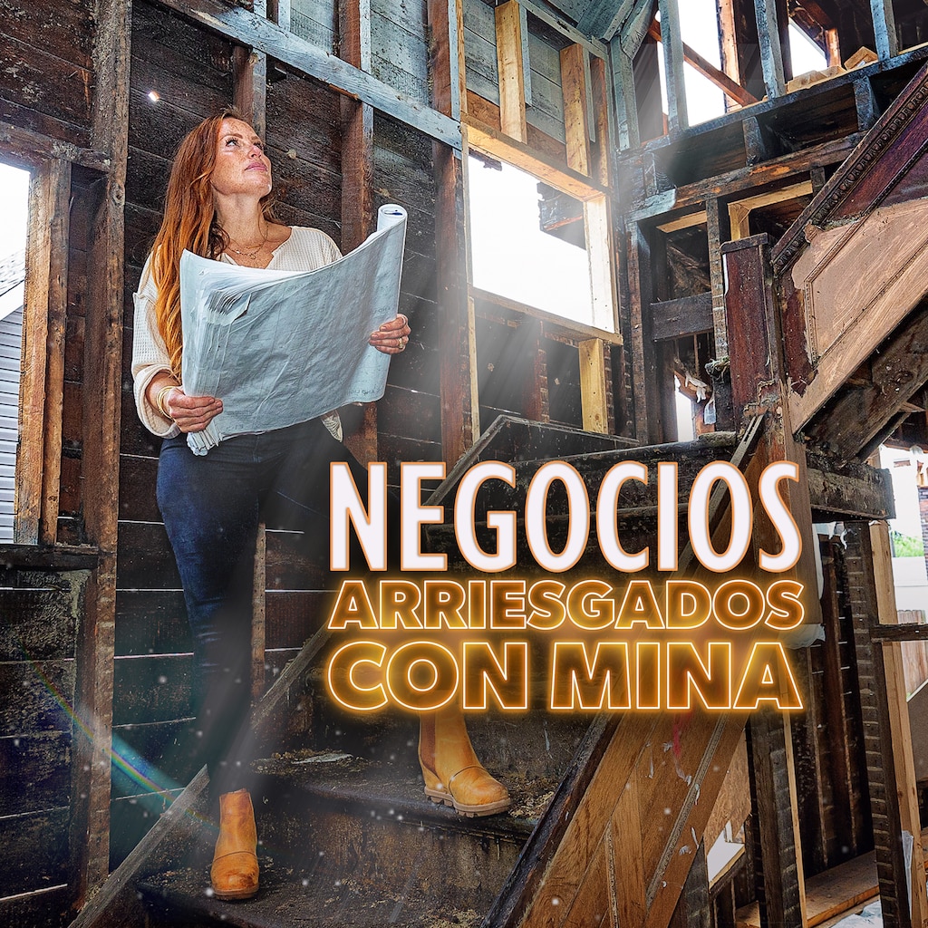 Negocios arriesgados con Mina