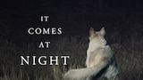 It Comes at Night