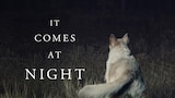 It Comes at Night (HBO)