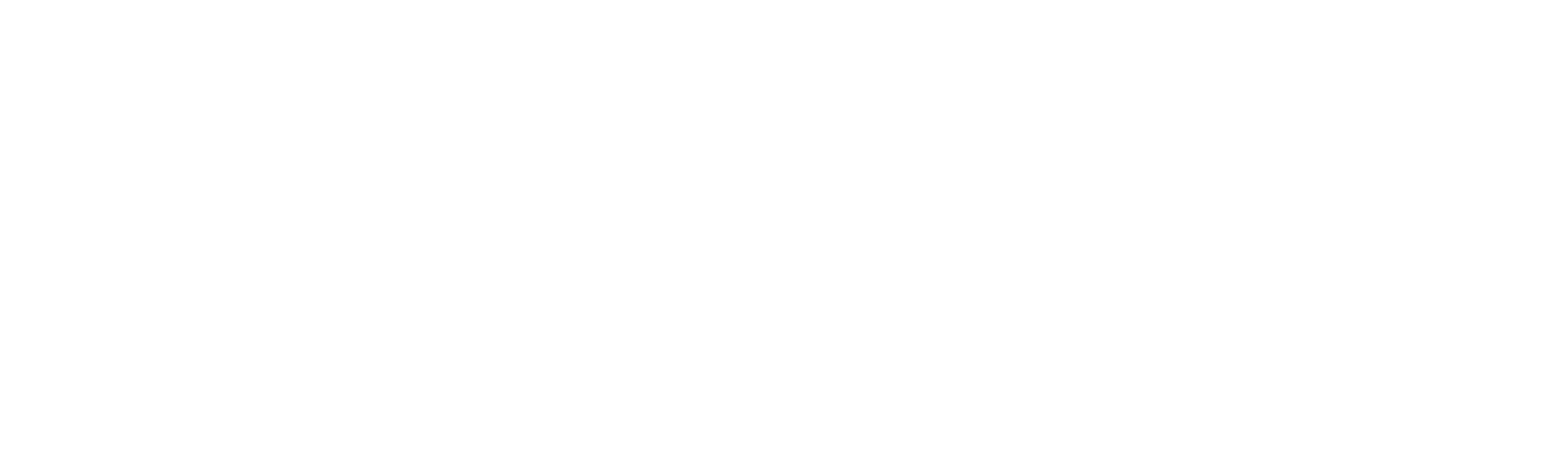 El gran tiburón de Madagascar