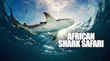 African Shark Safari