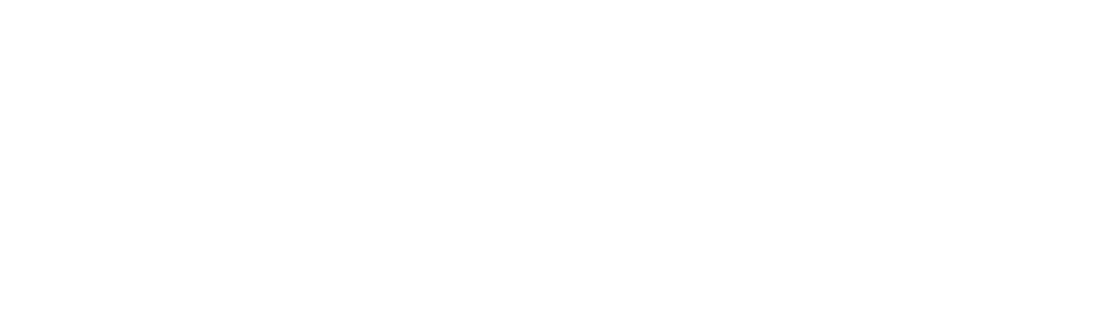 The Player