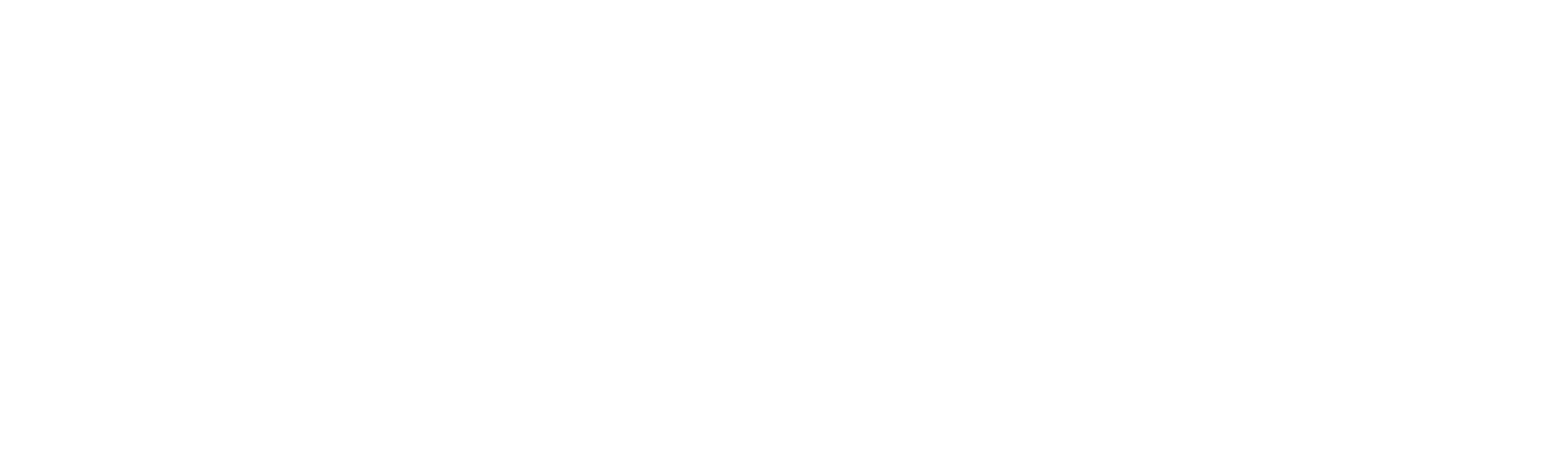 Anni: asesinato en la luna de miel