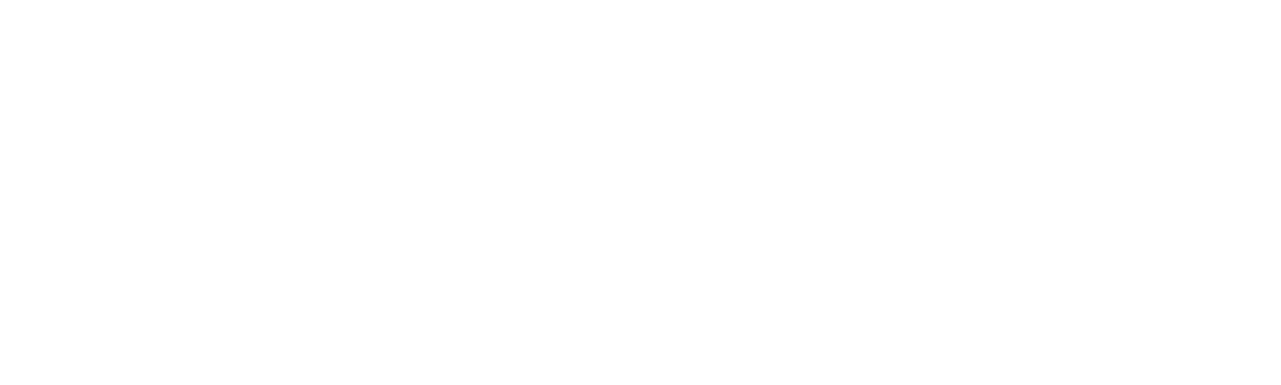 Anni: The Honeymoon Murder