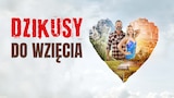 Dzikusy do wzięcia