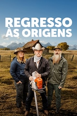 Regresso às origens