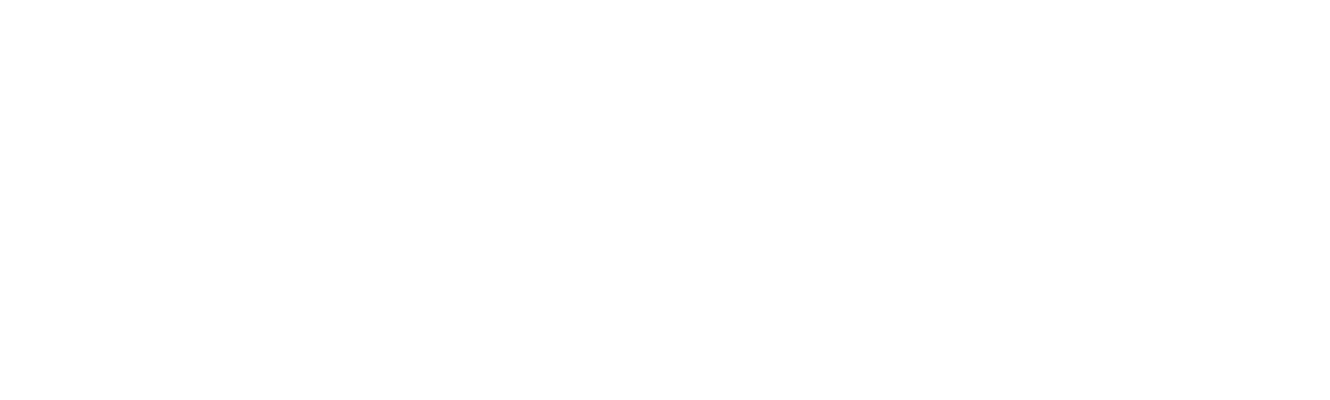 Liz and the Blue Bird