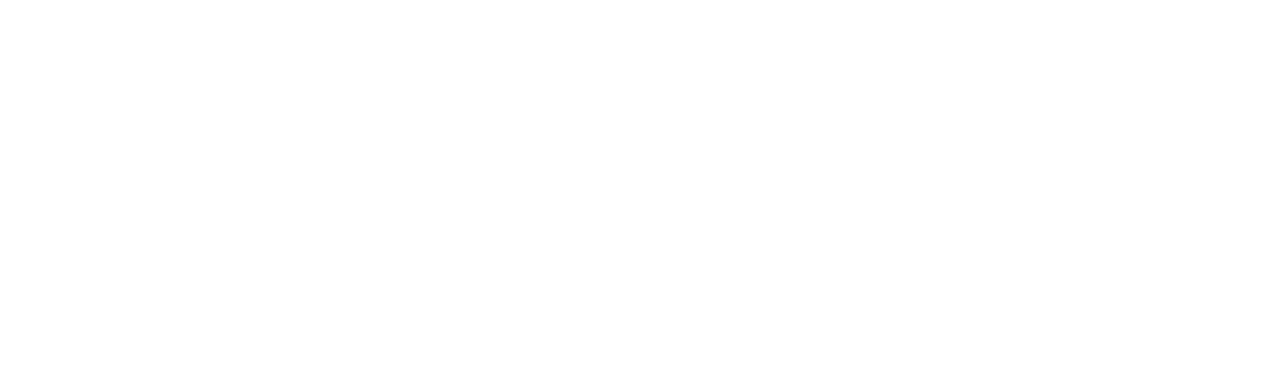 The Survivor (HBO)