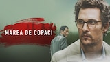 Marea de copaci