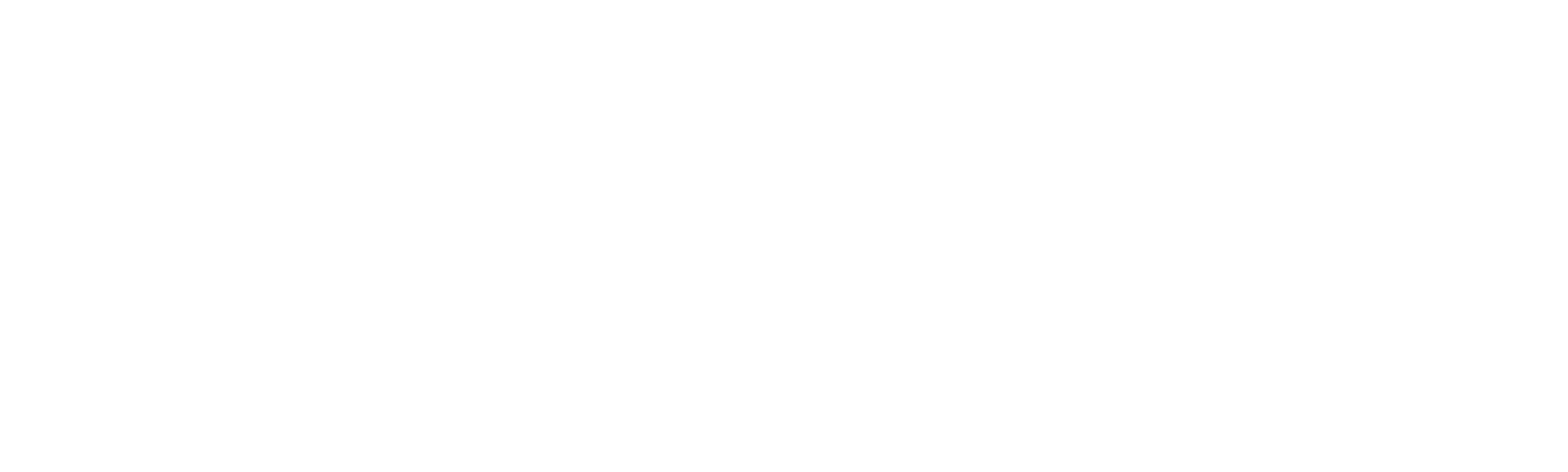 Toni Morrison: The Pieces I Am