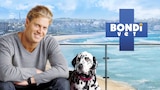 Bondi Vet