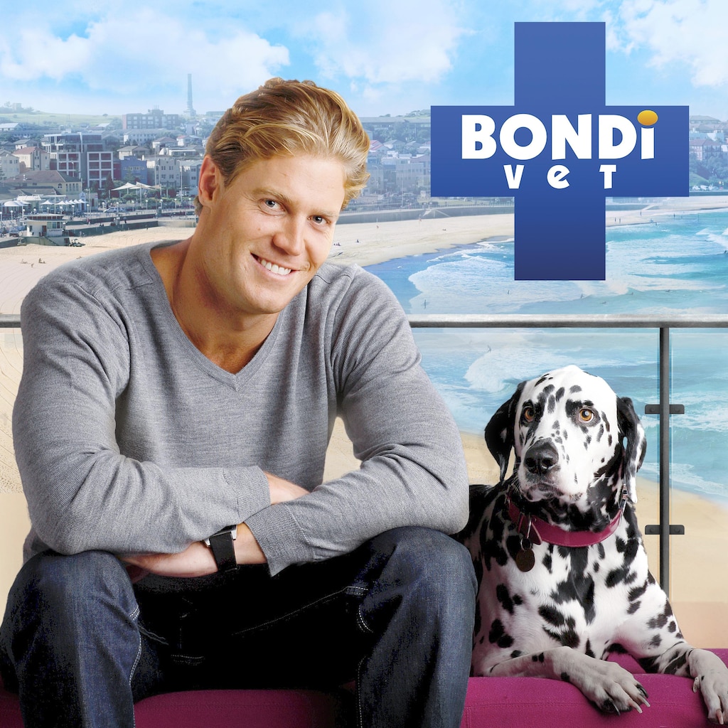 Bondi Vet