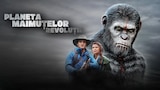 Planeta Maimuțelor: Revoluție