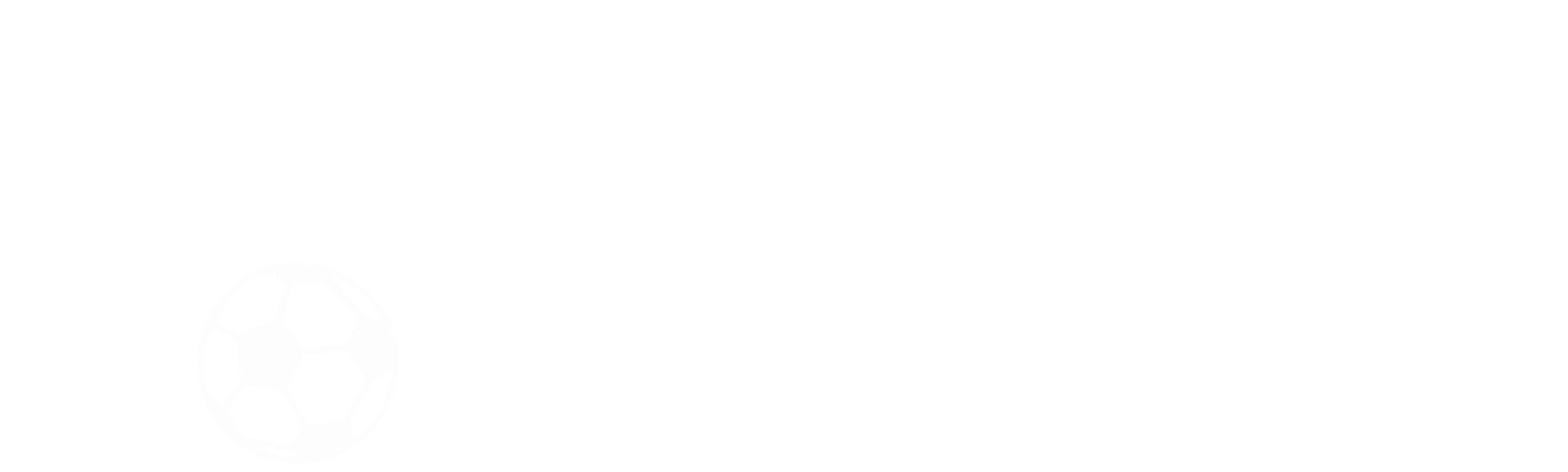 Kallang Roar the Movie