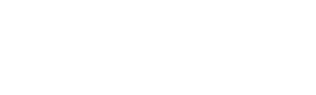 Para - We Are King
