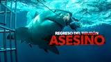 Regreso del tiburón asesino