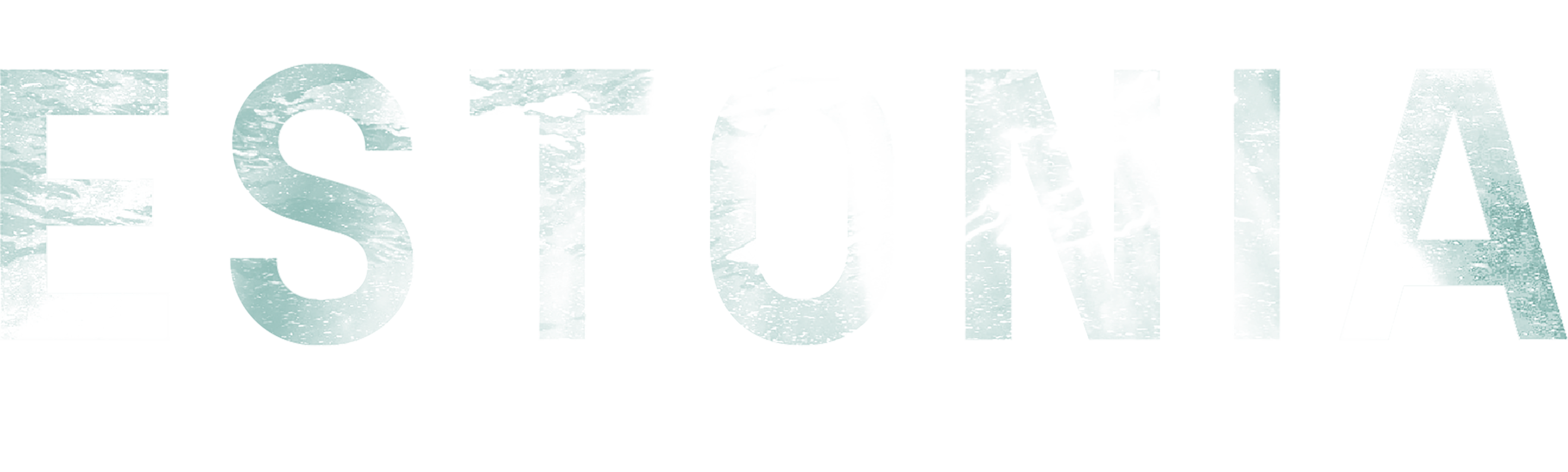 Estonia: Celebrul naufragiu