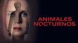 Animales Nocturnos