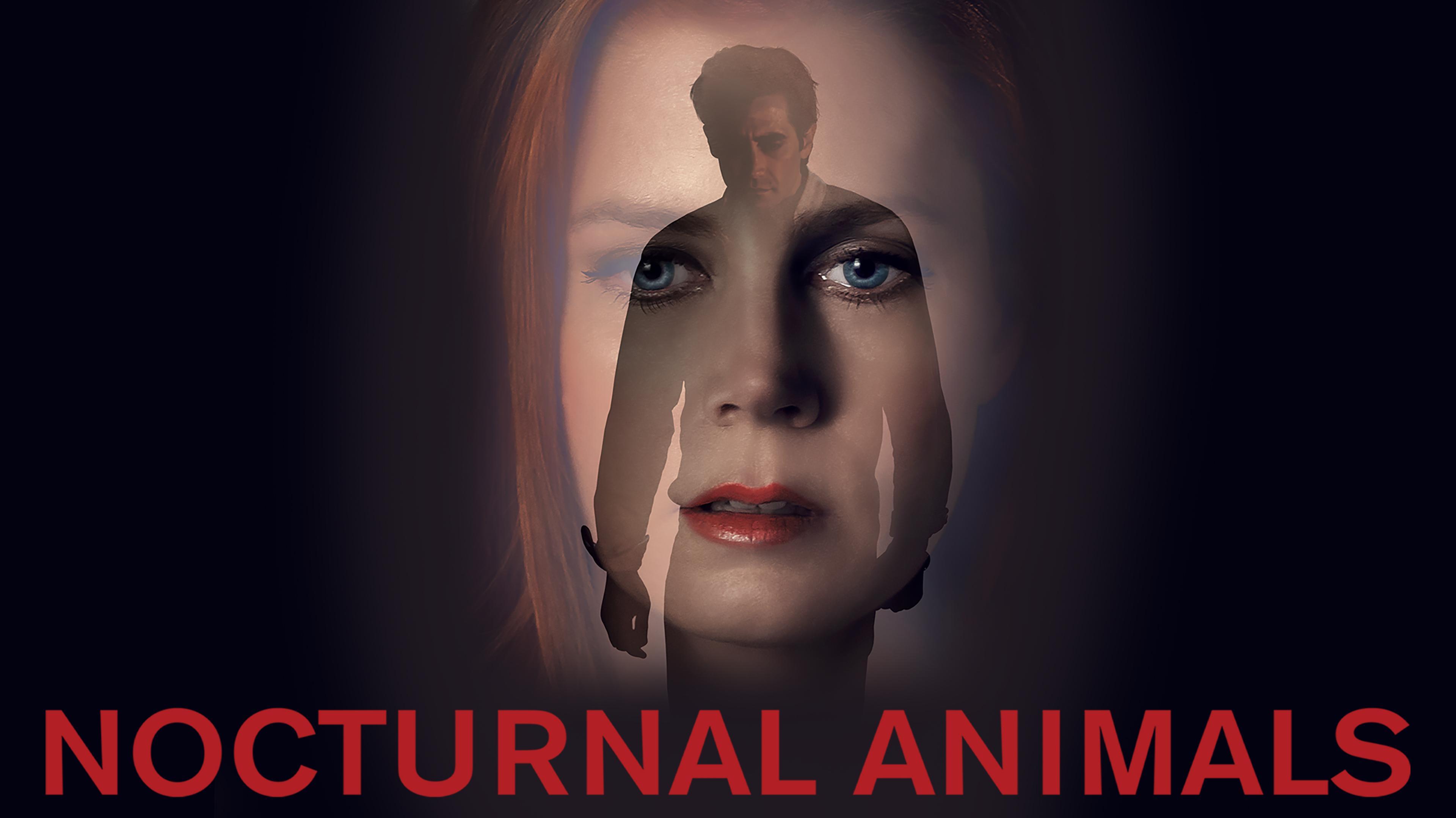 Watch Nocturnal Animals | HBO Max