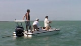 South Florida