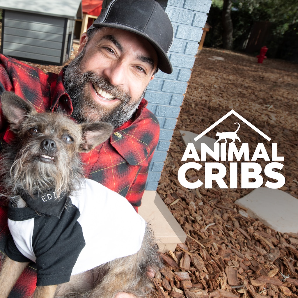 Animal Cribs