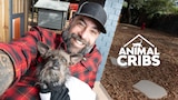 Animal Cribs