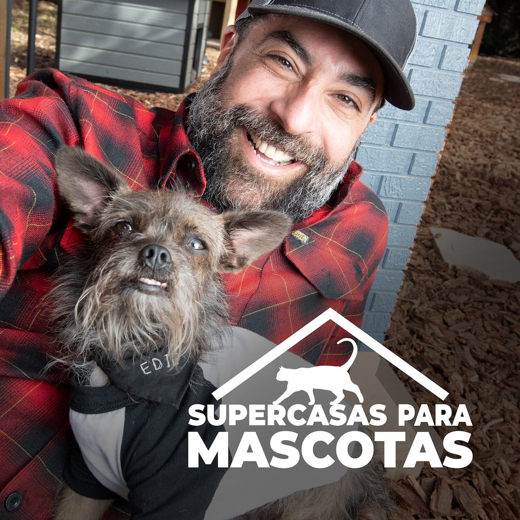 Supercasas para mascotas